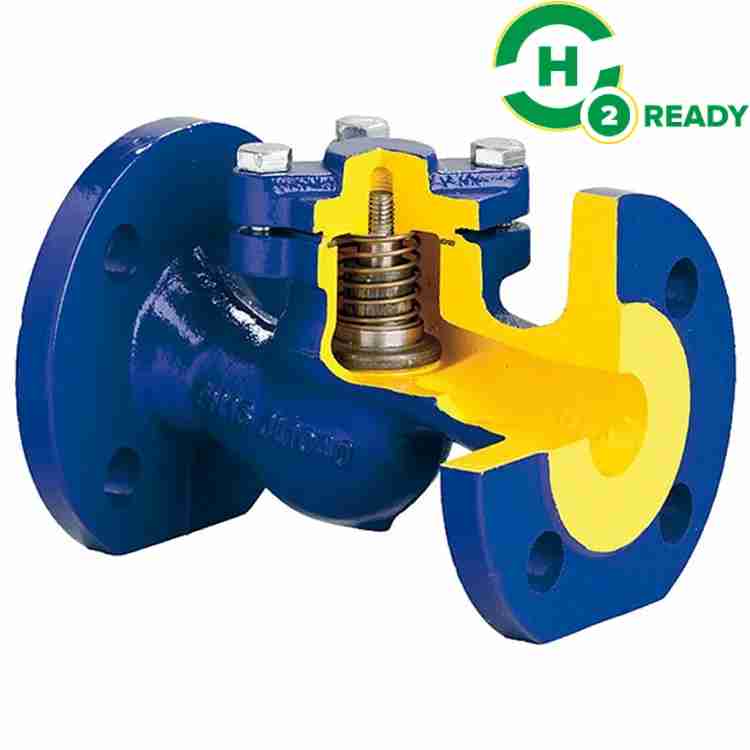 Distributor Zetkama Check Valve DN 80 PN 16 surabaya